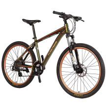 24 Speed Aluminum Alloy Castro Style Mountain Bike (FP-MTB-A01)